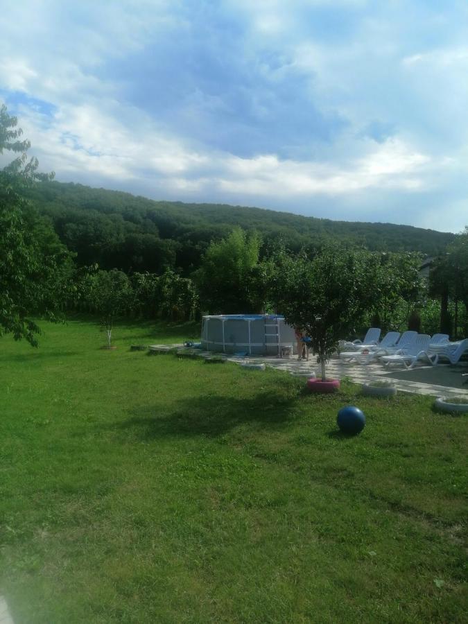 Casa Amaya Bacău Eksteriør billede